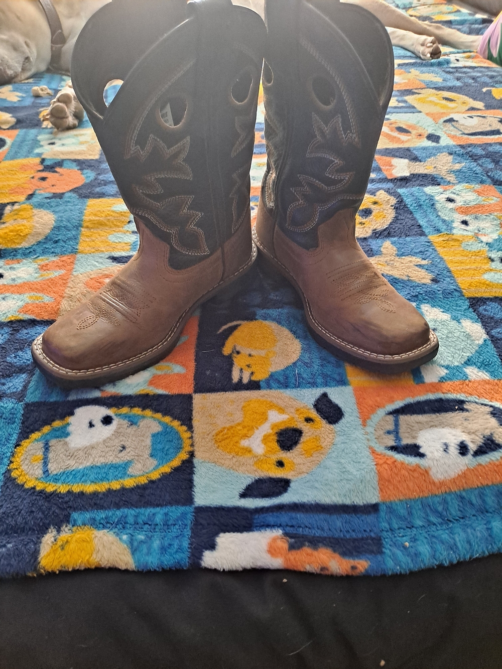 Kids Brown and Black Western Pull-On Cowboy Boots
